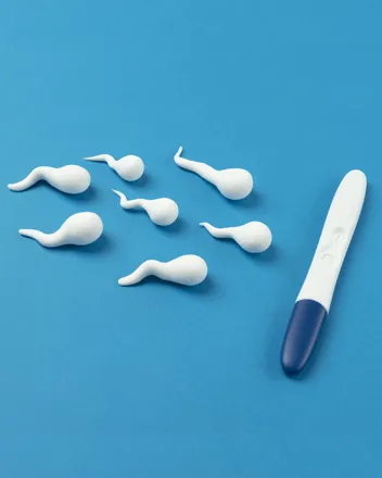 Microsurgical Sperm<br> Retrieval Techniques